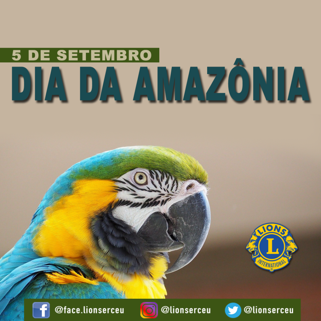 DIA_AMAZONIA