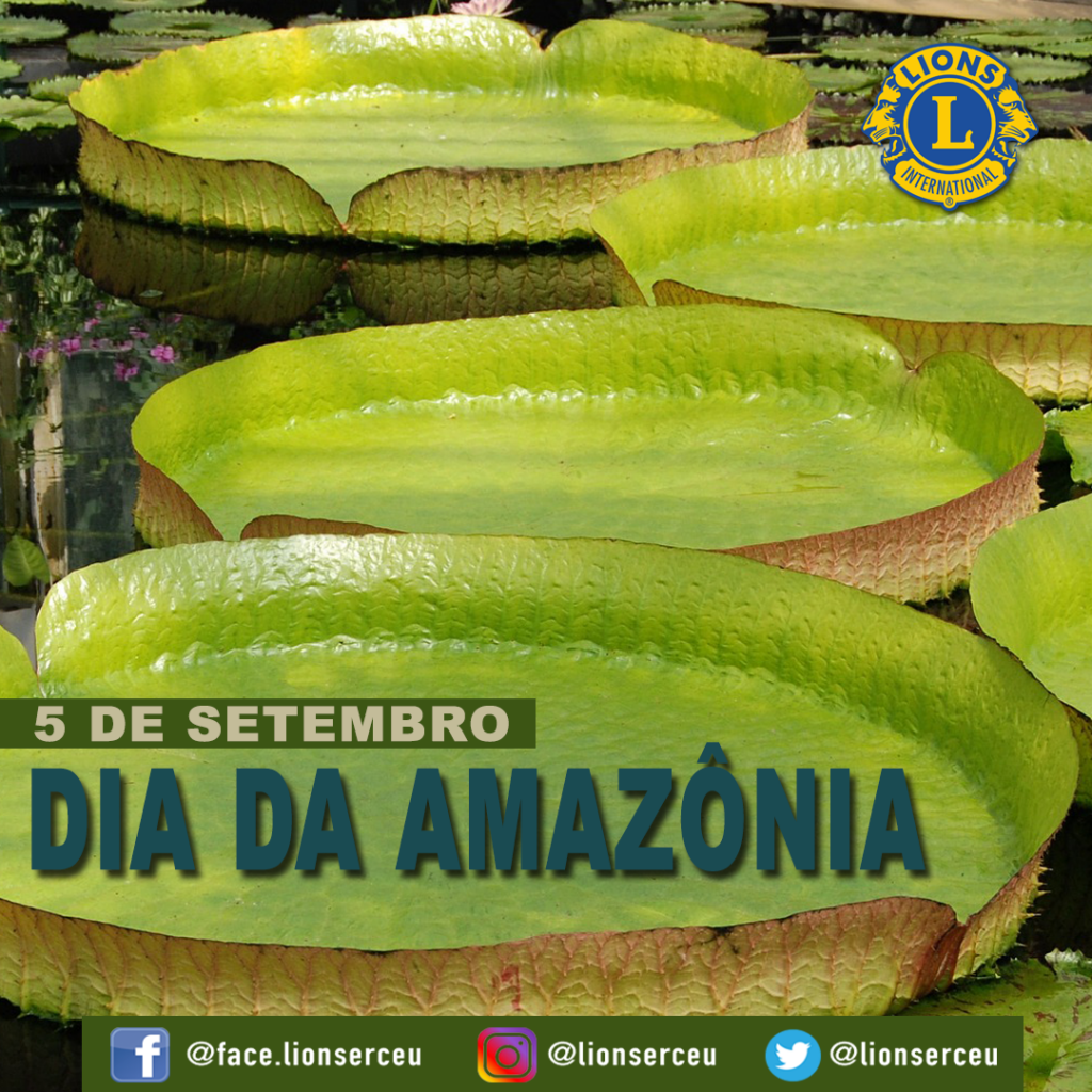 DIA_AMAZONIA_2